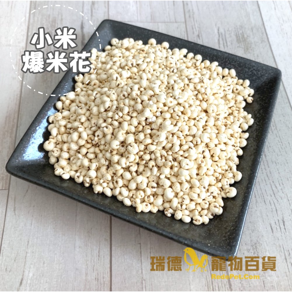 瑞德寵物百貨 爆小米花60克 小米爆米花 鸚鵡零食點心 可當訓練小點心 小型鳥的最佳零嘴 蝦皮購物