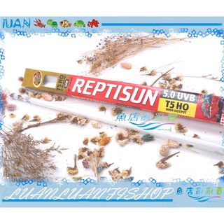 【魚店亂亂賣】ZOO MED美國T5生態燈管UVB 5.0兩棲爬蟲專用(提供UVB/UVA) 54W 德國製造
