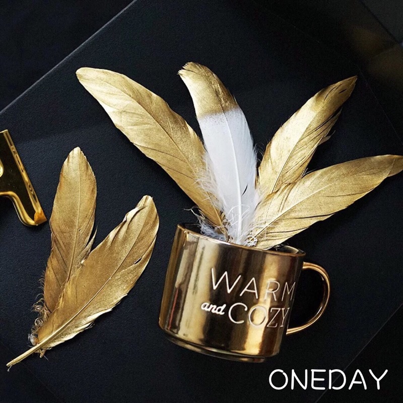 ONEDAY ✨ 冷淡風格✨金羽毛 拍攝影道具 擺件擺設品 復古裝飾 拍照道具