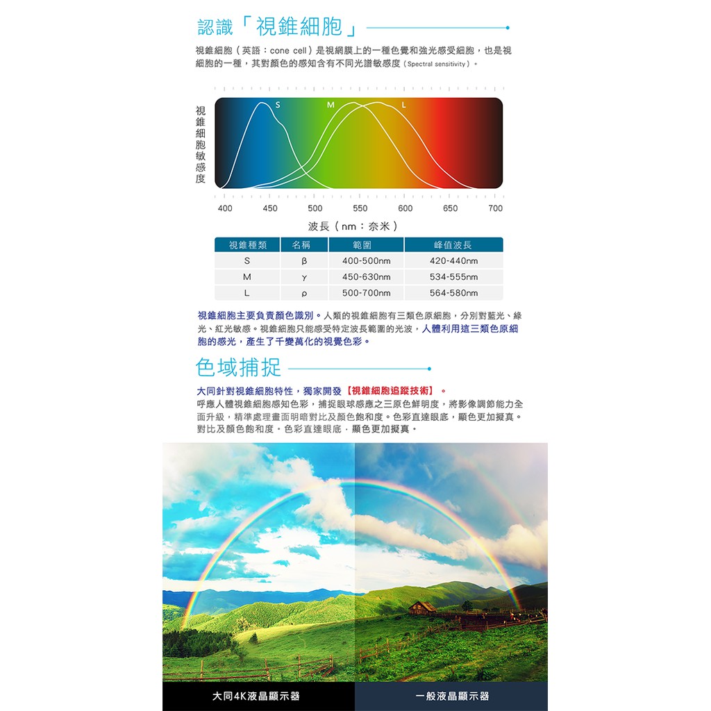 宜逸小舖免運費tatung大同55型4k Hdr聯網液晶顯示器 Uh 55s100 蝦皮購物