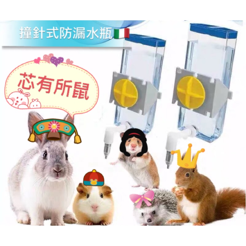 🐭芯有所鼠🐹 意大利🇮🇹進口Ferplast撞針水壺 倉鼠🐭龍貓🐱兔子🐰天竺鼠🐹鸚鵡 喝飲水器 大推👍