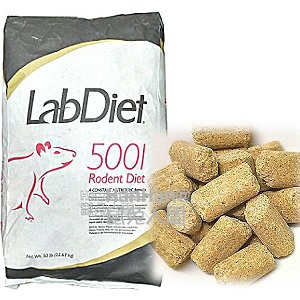 ♥️鼠兔人間~ LabDiet 5001 實驗室鼠飼料(非素食) [期限四個月以上] 倉鼠 大白 小白