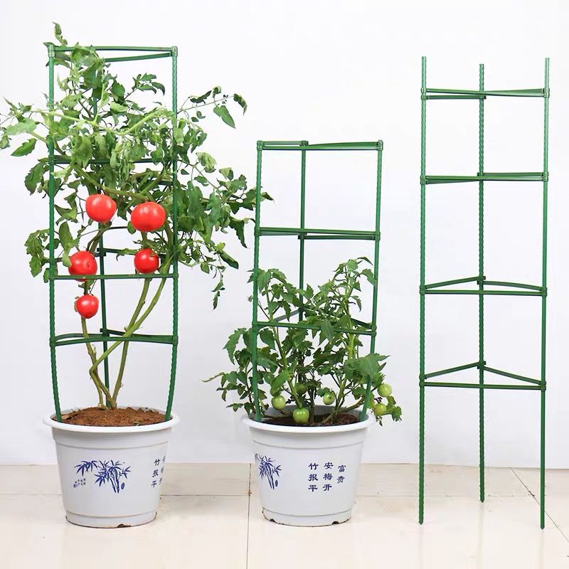 攀爬植物支撐樁籠花園格子花架環番茄支撐耐用創意攀爬藤架番茄籠架工具/黃瓜架番茄番茄