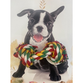 繩結板在拍賣網站 比價撿便宜 優惠與推薦 22年3月