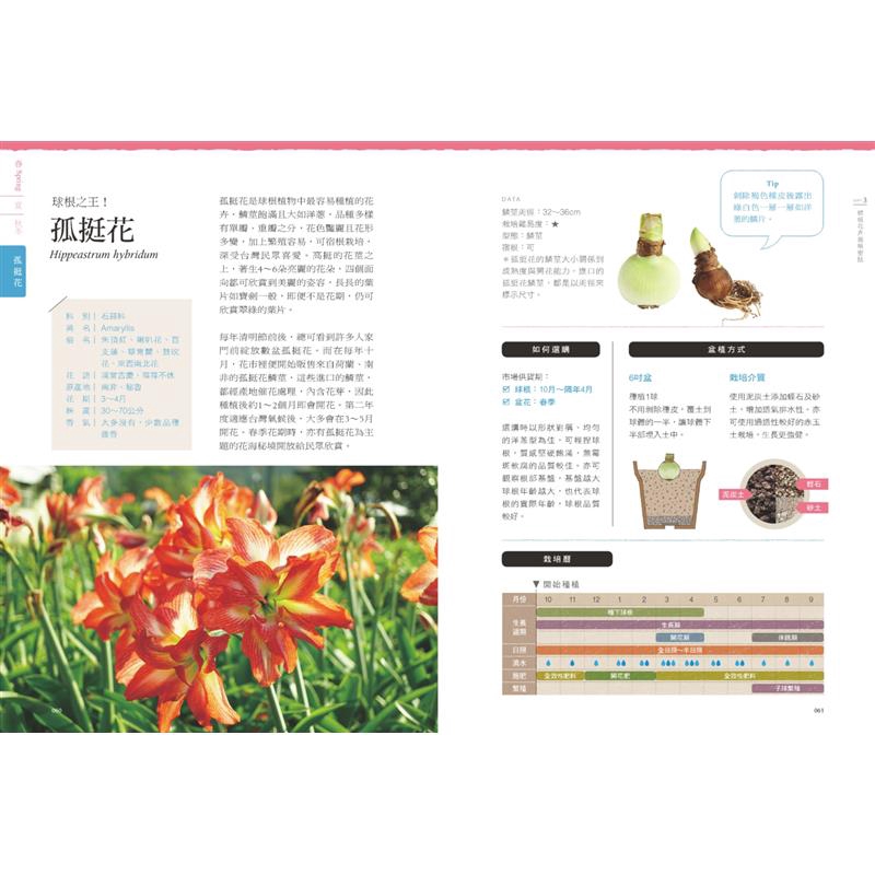 球根花卉超好種 園藝世家四代栽培密技大公開 50種球根花卉四季管理 Q A種花問答 7折 蝦皮購物