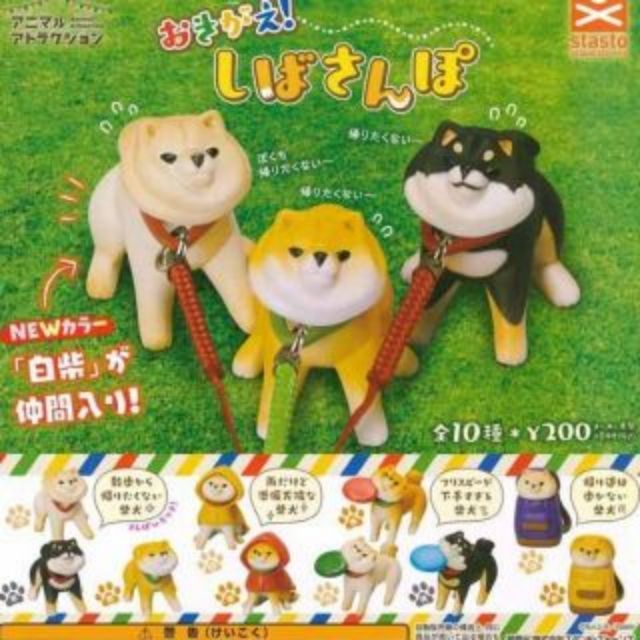 Qualia 單售拒否犬柴犬不想回家散步系列吊繩扭蛋轉蛋動物愛好者系列 蝦皮購物