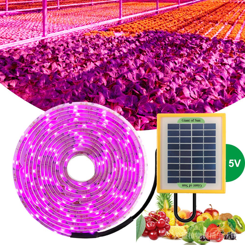 太陽能植物燈帶 5V植物生長燈帶 2835燈珠生長燈條 全光譜植物燈3米