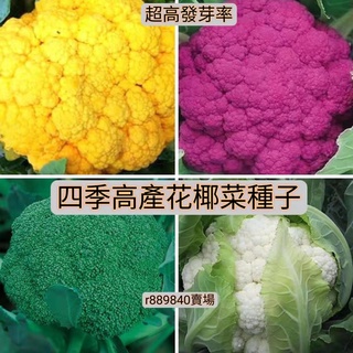 紫色花椰菜 優惠推薦 22年12月 蝦皮購物台灣