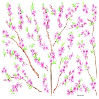 義大利進口HOME DECOR 牆壁貼飾 70cmX100cm 桃花(C57101)