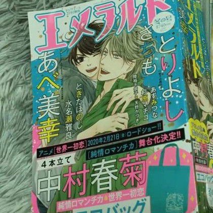 二手 綠寶石月刊 エメラルド 冬の号 蝦皮購物