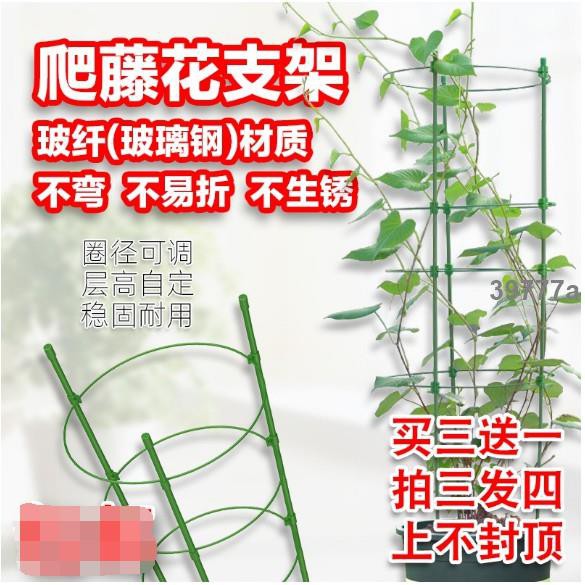 熱賣花支架爬藤架牽牛花卉園藝薔薇月季爬藤架支柱鐵線蓮牽牛花卉植物花盆固定可調伸縮支架 蝦皮購物