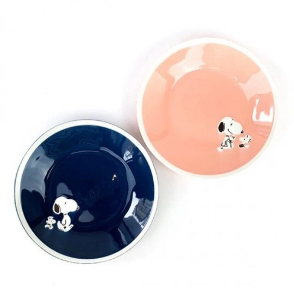 日本進口 日本製 史努比 Snoopy 2入陶瓷盤組 22CM 咖哩盤 水果盤 沙拉盤 點心盤 日本陶瓷盤 生日禮物