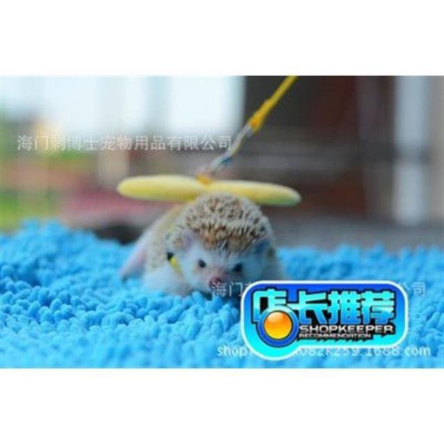 優選好物 外齣天使迷你min迷你i刺蝟金絲熊鬆鼠牽引繩寵物牽引繩用品 4IBO