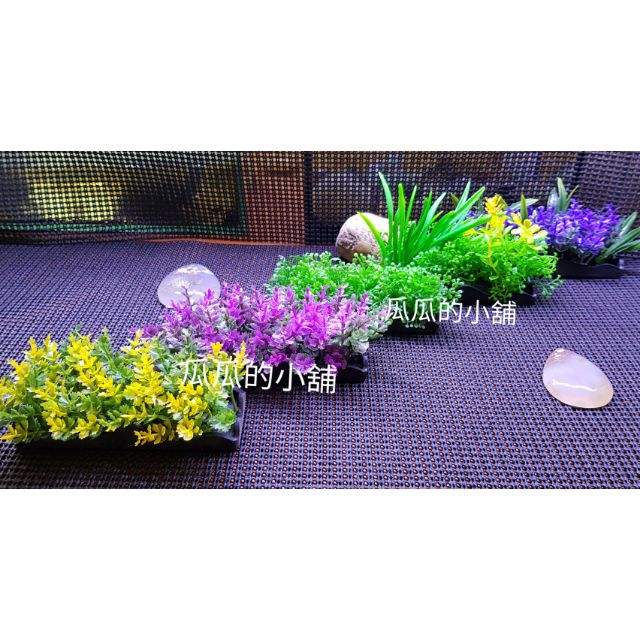 前景 仿真水草（5-10cm）塑膠水草　假水草　假花　魚缸造景　水族　魚缸　飾品　裝飾
