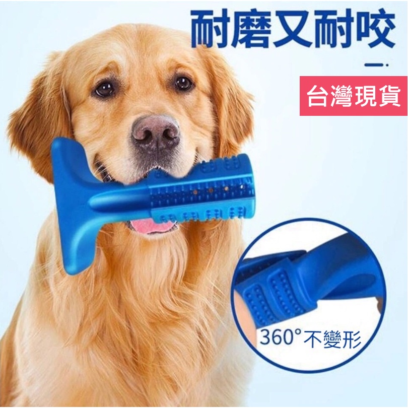 【台灣現貨】潔牙棒 護齒潔牙棒 寵物玩具 狗狗玩具 寵物牙刷 狗磨牙 寵物益智玩具 潔牙玩具 狗狗磨牙玩具