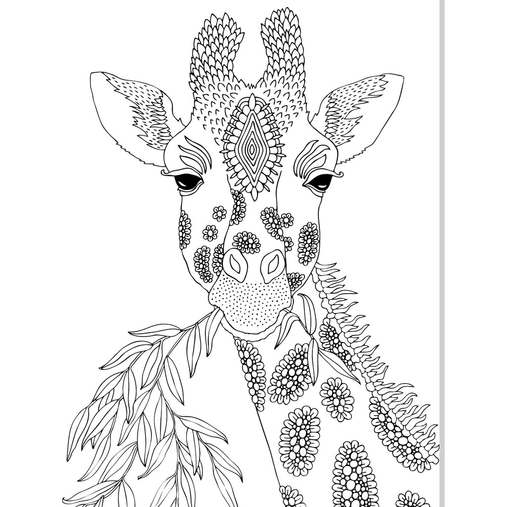 動物纏繞畫 隨書附贈36色色鉛筆 蝦皮購物