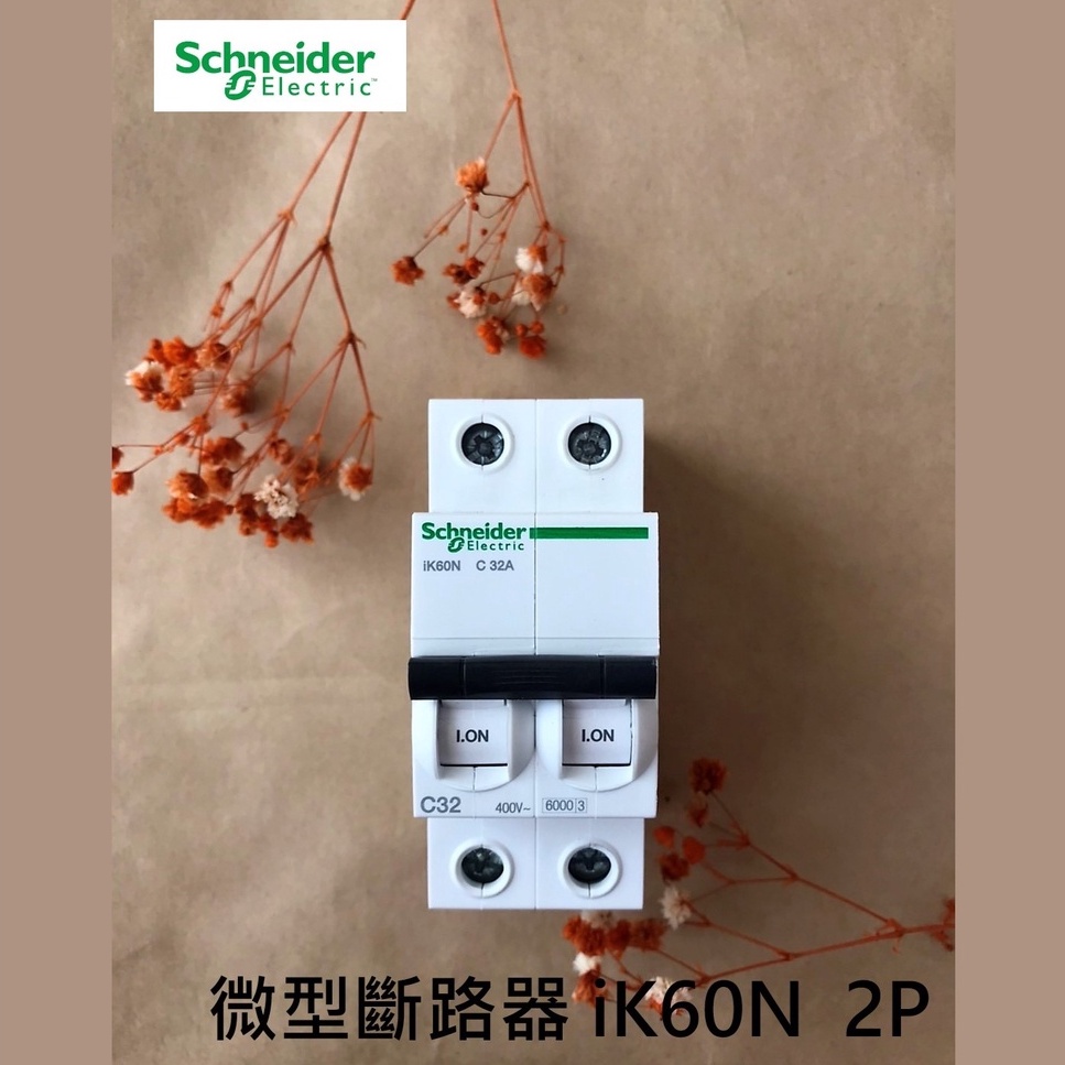 Schneider施耐德 Acti9系列 iK60N 2P 微型斷路器、小型斷路器、迴路保護器 (現貨、快速出貨)