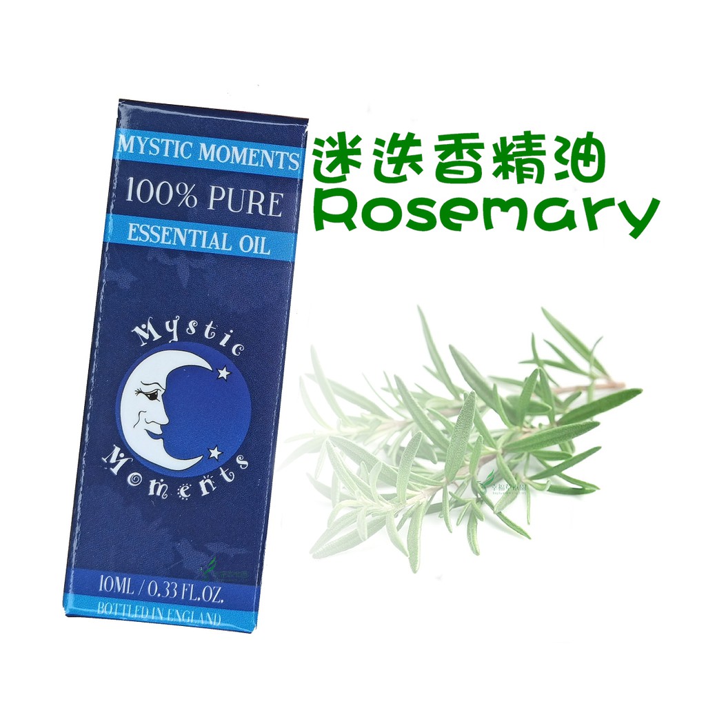 迷迭香 精油 10ml 迷迭香 桉油醇 精油 海之朝露 強效抑制力 Rosemary Essential Oil