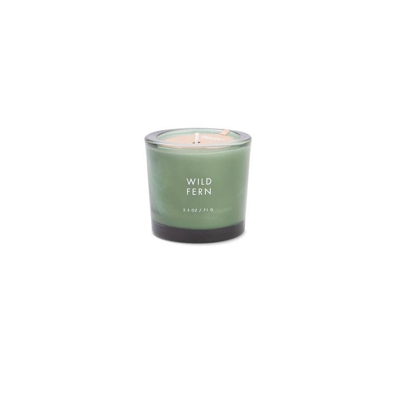 美國 firefly 植光系列26小時蠟燭/ 蕨類/ 2.5 oz. eslite誠品