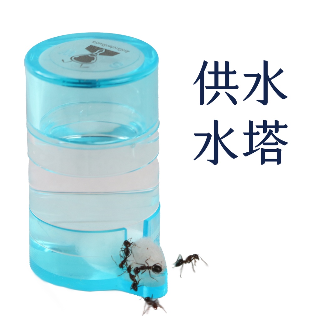 【捕蟻人工作室】水塔 | 供水設備 | 螞蟻 | 取水 | 飼養必備