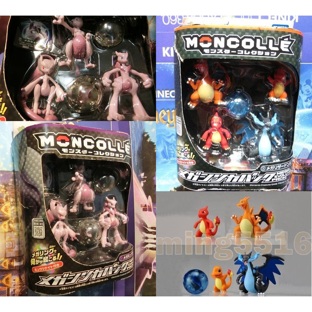 進化の石 Xy イメージポケモンコレクション