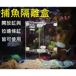 防白點 隔離盒魚缸隔離盒外掛隔離盒防白點隔離盒壓克力隔離盒魚缸隔離水族隔離盒壓克力魚缸隔離箱