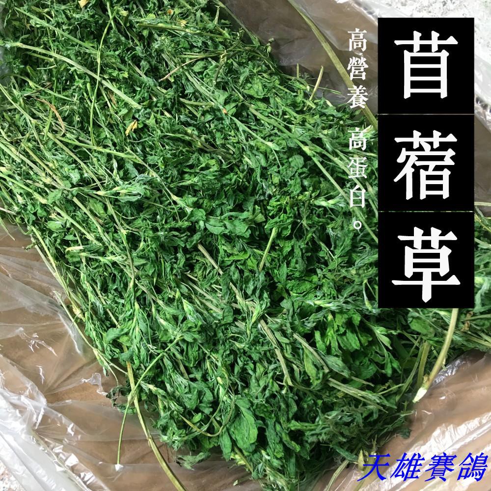 現貨19新烘干紫花苜蓿草兔糧兔子龍貓荷蘭豬兔草營養牧草1kg 蝦皮購物