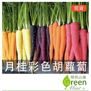 月桂彩色胡蘿蔔 (約300顆種子) 彩色胡蘿蔔種子 彩色紅蘿蔔種子 彩虹紅蘿蔔種子 蔬菜種子【綠色山嵐】