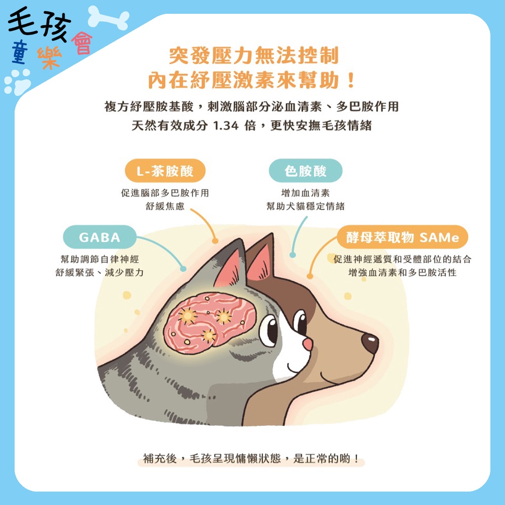 汪喵星球汪喵紓壓胺基酸包入寵物保健品汪喵胺基酸汪喵貓狗寵物紓壓安撫毛孩 蝦皮購物