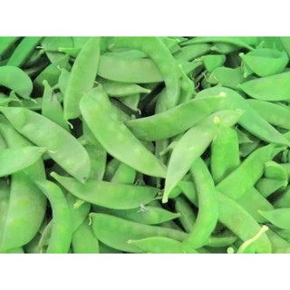 敏豆種子四季豆種子四季豆無蔓矮叢四季豆玉豆帶莢豌豆豆角敏豆仔敏豆菜豆豆類種子 農產種子郵購讚 蝦皮購物