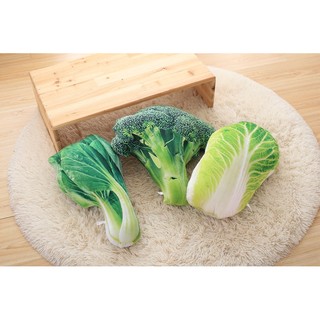 ☆模擬花椰菜/青菜/大白菜抱枕/靠枕 午安枕/生日禮物/聖誕節/午安枕/靠墊/靠腰/另有蝦仁枕
