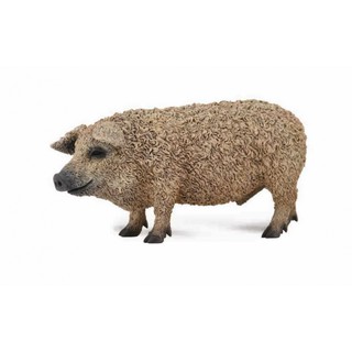 「芃芃玩具」COLLECTA 動物模型 R88674 匈牙利豬 仿真 教材 教學 貨號88674