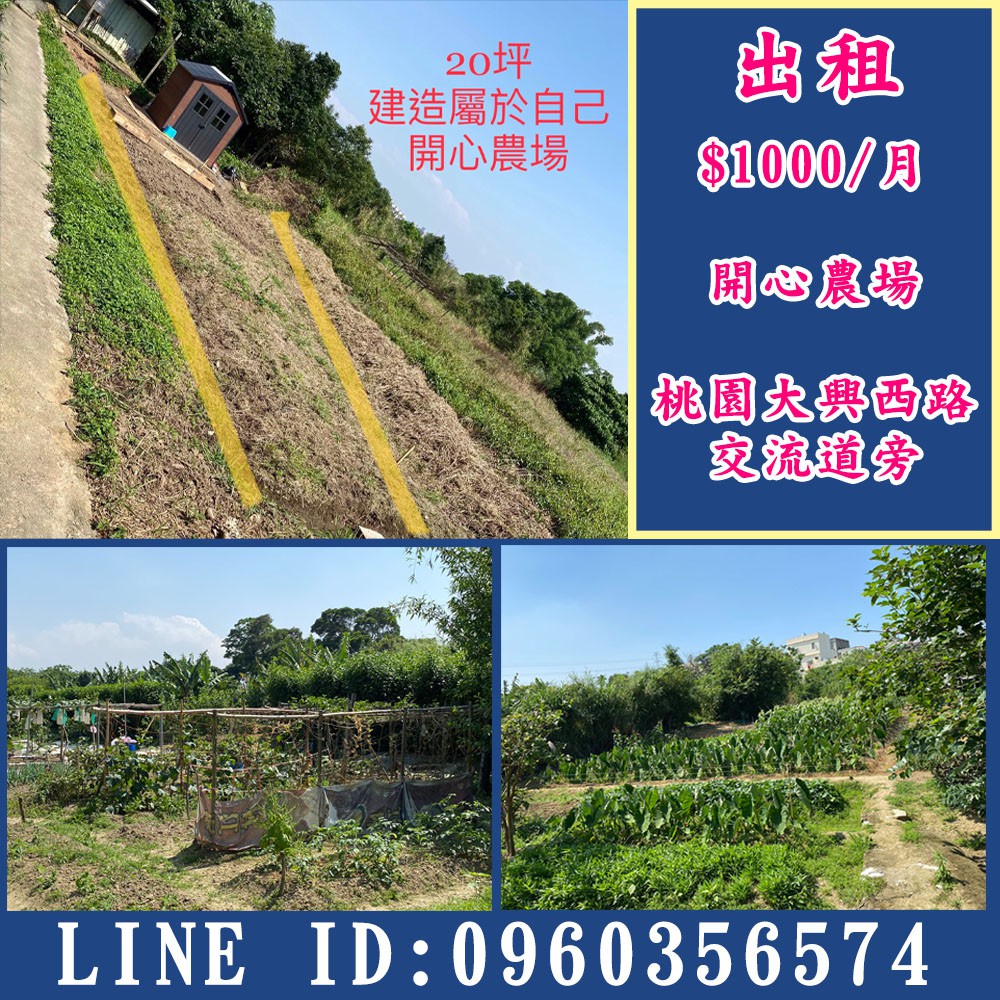 【 小樂器 】 開心農場出租 20坪 1000/月 桃園大興西路交流道旁