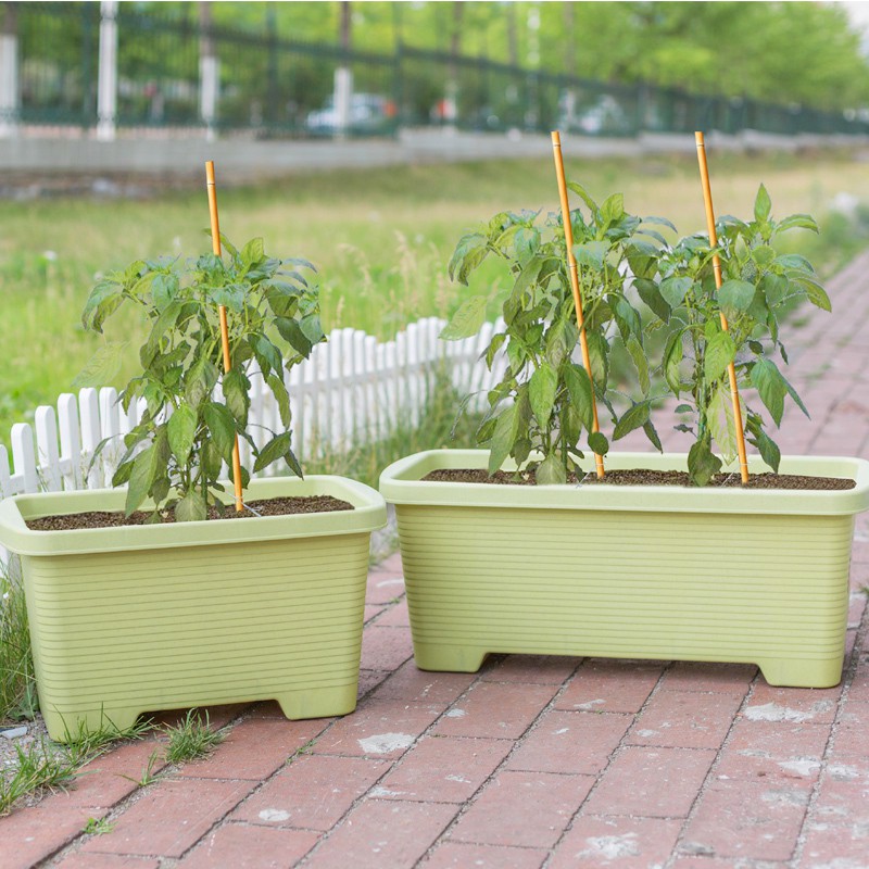 愛麗思花盆家庭菜園陽臺種菜深型種植盆長方形塑料種植箱蔬菜盆 蝦皮購物