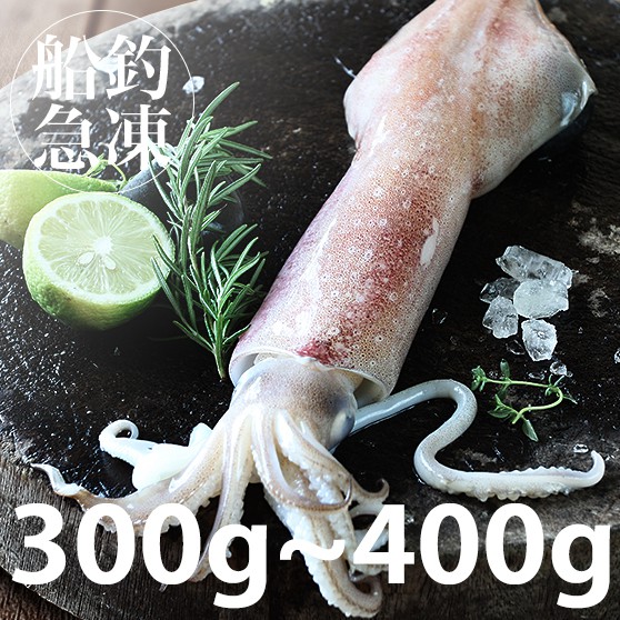 南海豐【船釣！活凍透抽】300-400g/尾  捕撈船上急凍透抽，海上先生嚴選，海鮮食材宅配