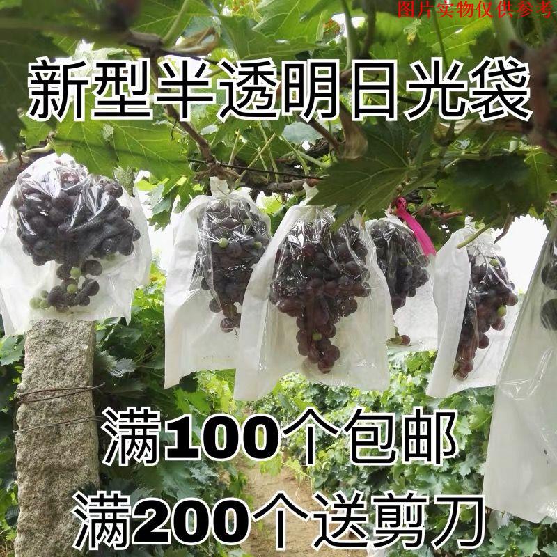 水果套袋葡萄套袋專用袋半透明蓮霧保護防蟲雨防鳥包裝果袋紙袋子果樹水果