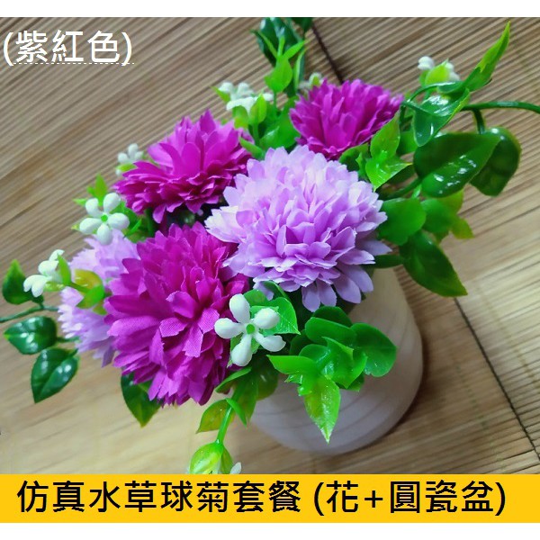 水草盆 拍賣 評價與ptt熱推商品 21年6月 飛比價格