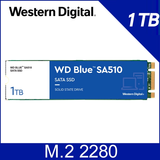 [全新公司貨] WD 藍標 SSD SA510 1TB M.2 2280 SATA 3D NAND 固態硬碟