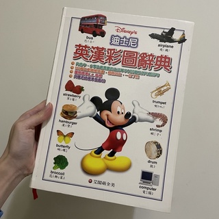 二手書｜迪士尼英漢彩圖辭典 小學生讀物 英語學習 原價800