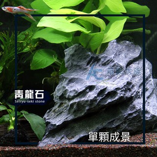 【AC草影】青龍石（L/2kg）【一份】天然石材 魚缸裝飾 ADA造景 水草造景 魚缸造景 水族箱石頭