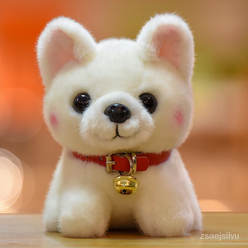 正版amangs柯基犬公仔毛絨玩具可愛小狗狗玩偶秋田俊介博美娃娃 超划算 Neng 蝦皮購物