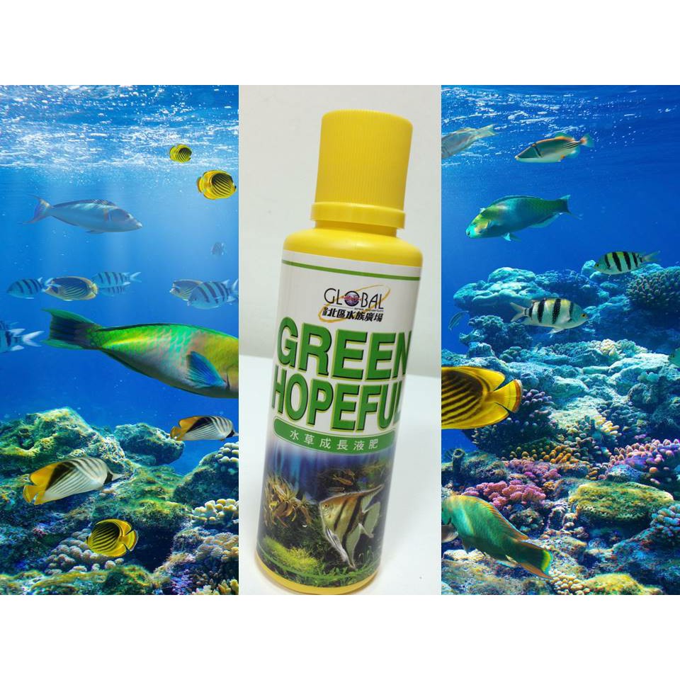 250ml水草成長液肥只要79元水草玩家必備商城內有關觀賞魚的水質處理劑 蝦皮購物