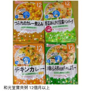 日本Waldo和光堂 離乳副食品調理包/常溫包