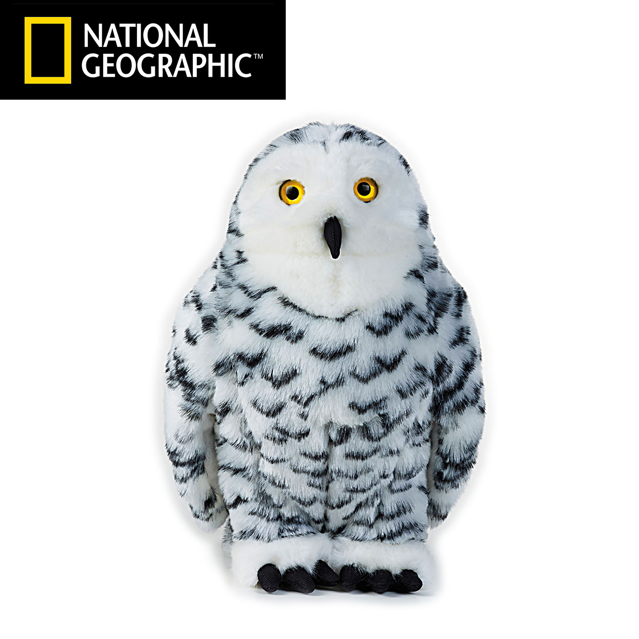 現貨免運 公仔娃娃玩偶國家地理正版仿真動物雪鴞白貓頭鷹白鸮雪梟公仔毛絨玩具精緻玩偶 蝦皮購物