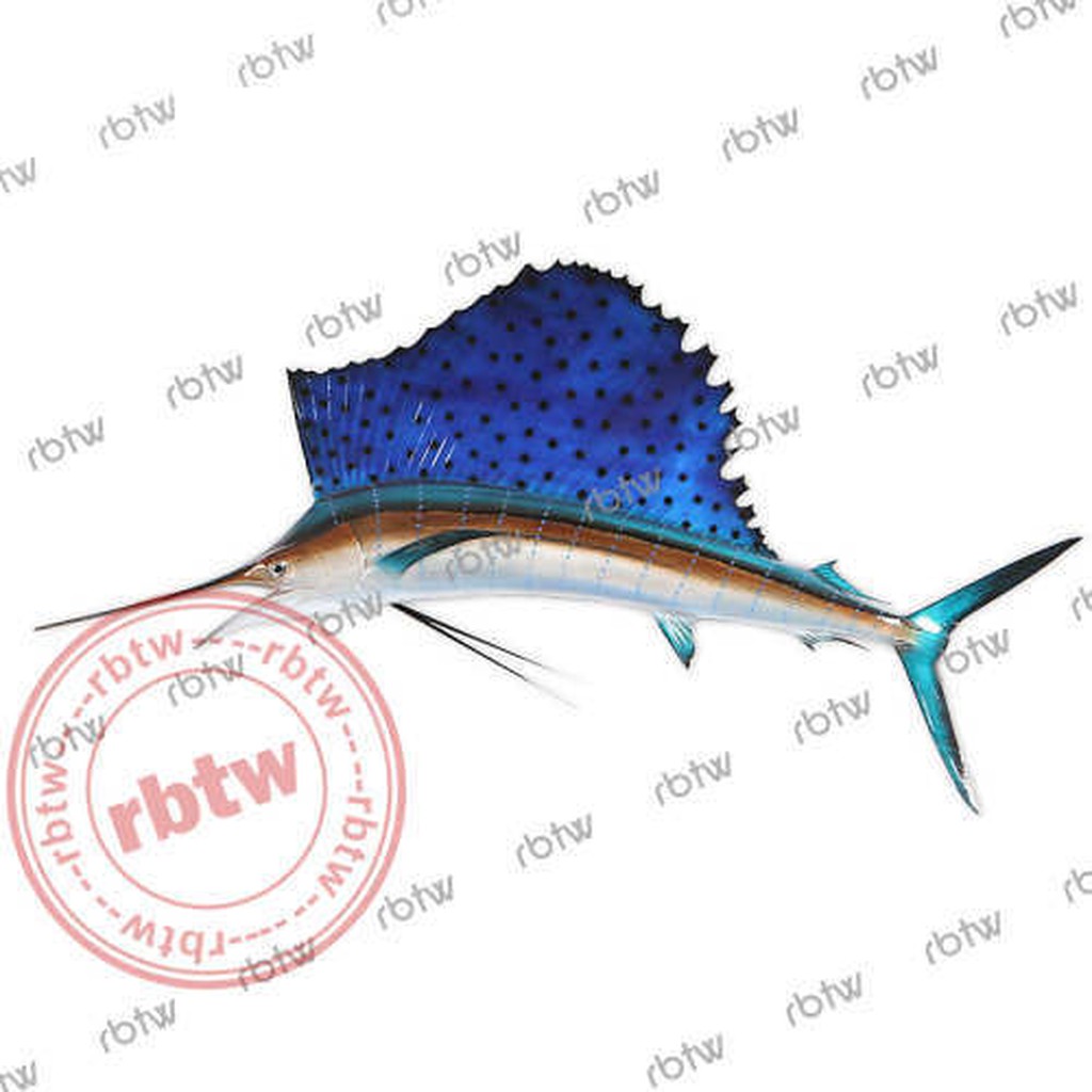 旗魚模型-PTT/DCARD討論與高評價網拍商品-2021年11月飛比價格