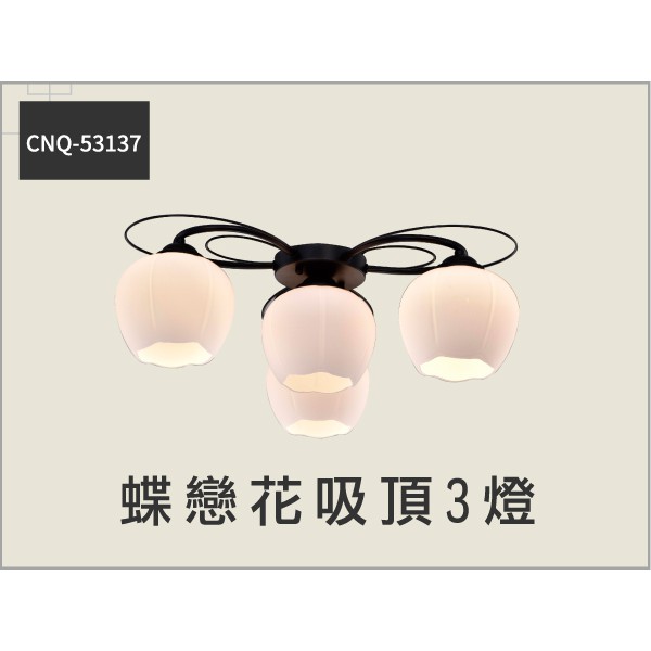 蝶戀花 E27吸頂燈 3燈 5燈 CNQ-53137 / CNQ-53138 ☆客廳臥室書房 / 光源另計_奇恩舖子