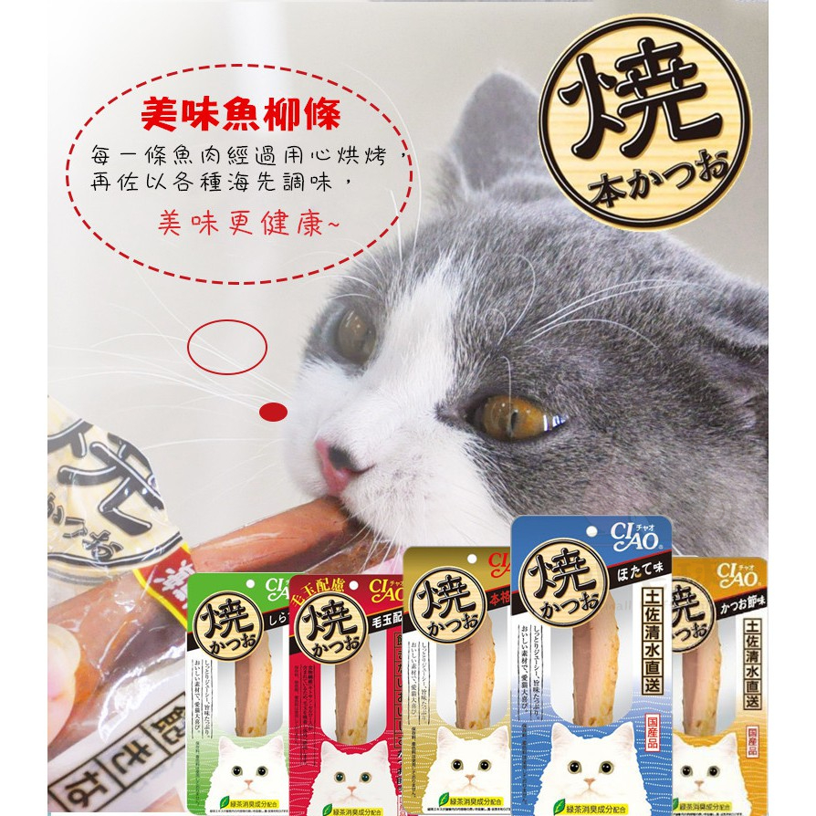 【小毛球】CIAO 魚柳條 本鰹燒 貓零食 貓咪零食 貓肉條 肉條 魚條 CIAO魚柳條 寵物零食 鮮食 鮮食條 幼貓