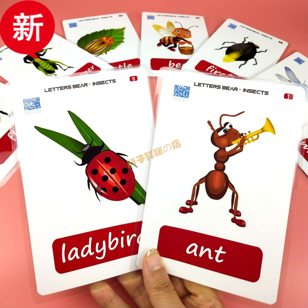 尚品 Insects 英文昆蟲英語單詞教具閃卡學習早教啟蒙幼兒視覺訓練卡片 蝦皮購物