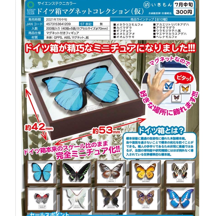 注目の 標本箱 2箱 - 虫類用品 - alrc.asia