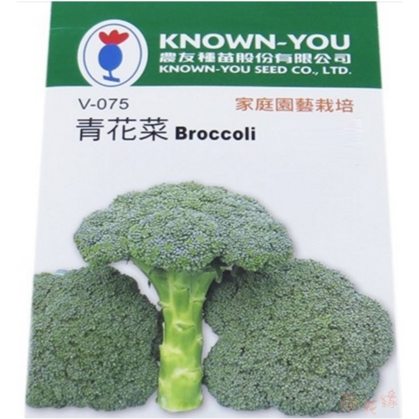 農友青花菜 綠色花椰菜 青花椰菜 蔬菜種子 蝦皮購物